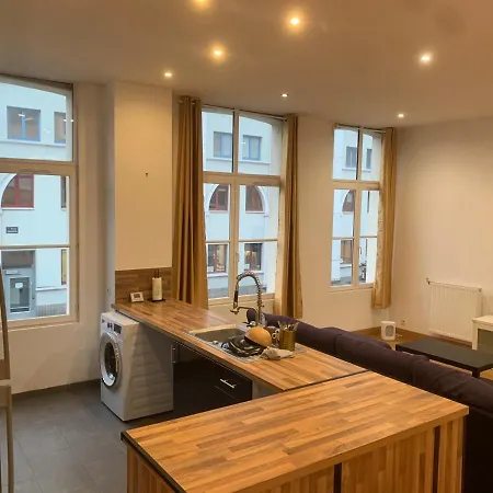 Appartement Spacieux Standing Rijsel